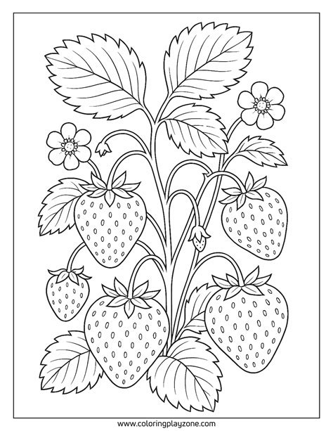 72 Free Printable Strawberry Coloring Pages for All Ages