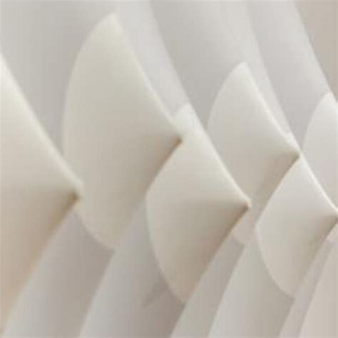 Renoir and Friends | Meer