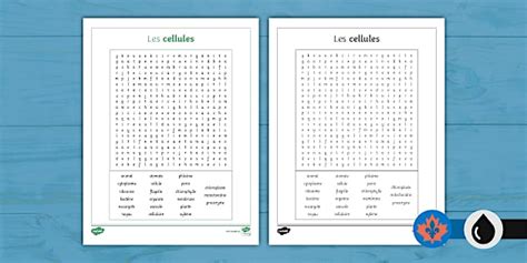 Cells Word Search French