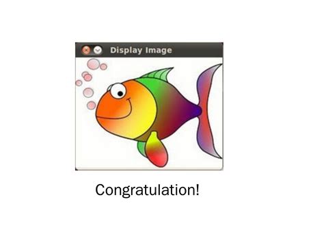 OpenCV Library 的图像结果