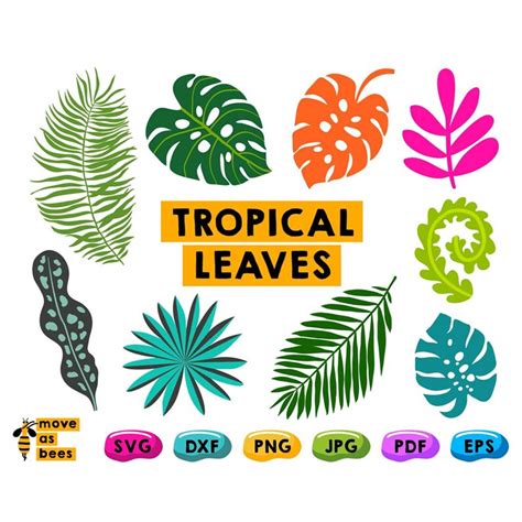 Tropical Leaves SVG, Tropical SVG, Plants Svg, Monstera Svg, - Inspire ...