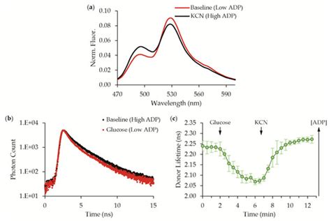 Detection of Osmotic Shock-Induced Extracellular Nucleotide Release ...