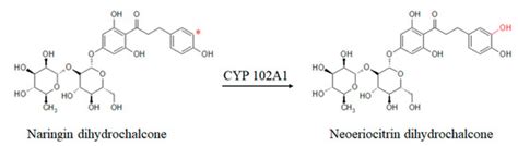 Catalysts | Special Issue : Biocatalytic Process Optimization