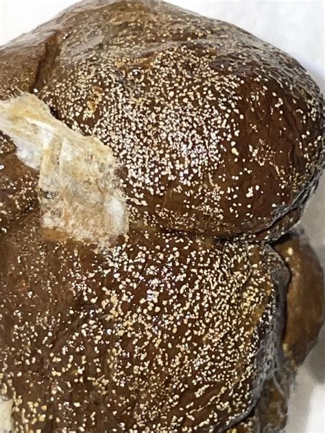 Can anyone help identify what these white spots are? : r/poop