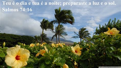 🔥 Free download landscape wallpaper murals [1920x1080] for your Desktop ...