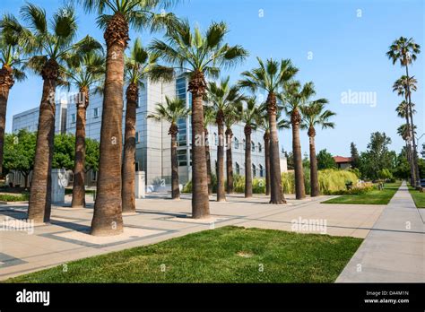 Image result for Caltech Science