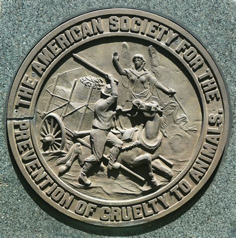 Ceo Salary Aspca - Sitha Salary