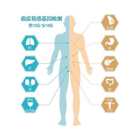 男性癌症易感基因检测13选1：北京基因树精准健康管家