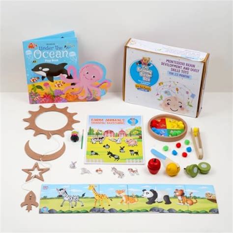 Buy Curious Cub Montessori Learning Wooden Toys Box 6: 1 Year+ | Child ...