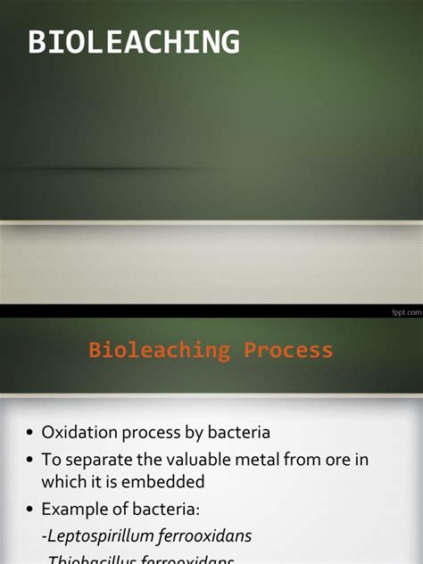 Image result for Bioleaching Process