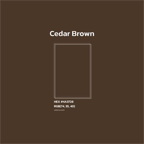 About Cedar Brown - Color codes | Matching colors and paints - colorxs.com