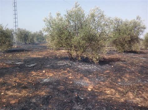 Más de 188.000 hectáreas consumidas en incendio forestal en Canadá ...