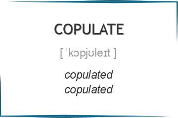 Image result for How to Copulate