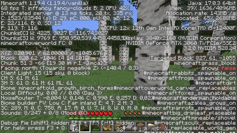 Image result for FPS for Minecraft Java