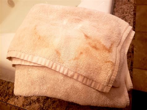 THE LANDMARK INN (Florence) - Motel Reviews, Photos, Rate Comparison ...