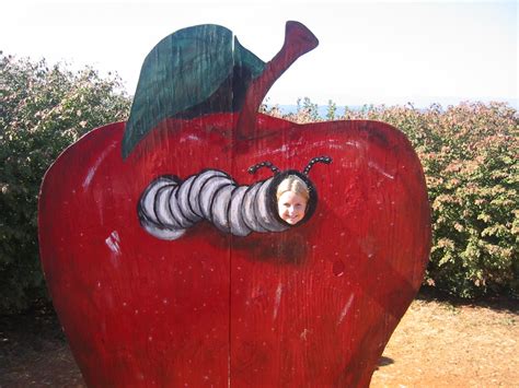 Image result for Xcode Worrisome