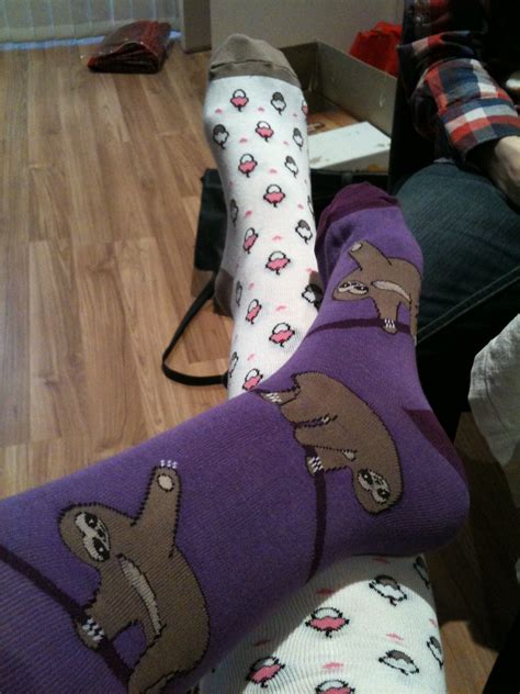 Sloth Knee Hi Socks - Sloths.com.au