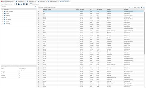 Cast as Numeric T-SQL SAS Sample 的图像结果