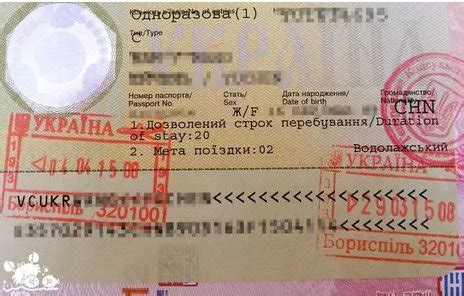 俄罗斯和乌克兰公民的护照高清图片下载-正版图片503191127-摄图网