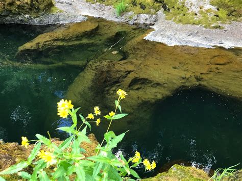 exploring deschutes falls park - Loving Life Moore