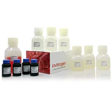 Image result for Elisa Protocol Blocking Buffer