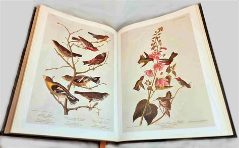 The Birds Of America by Audubon, John James: Boards (2001) 1st edition ...
