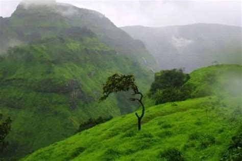 പഴയകാലത്തേക്ക് ഒരു ടൈം ട്രാവൽ; വാഹനങ്ങളില്ലാത്ത ഏഷ്യയിലെ മനോഹരമായ ഹി ...
