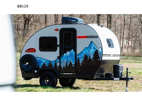 Image result for Mod Bug