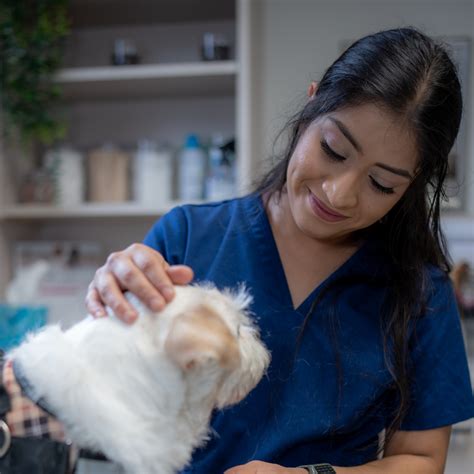 Vet Tech Wages vs. Living Wage