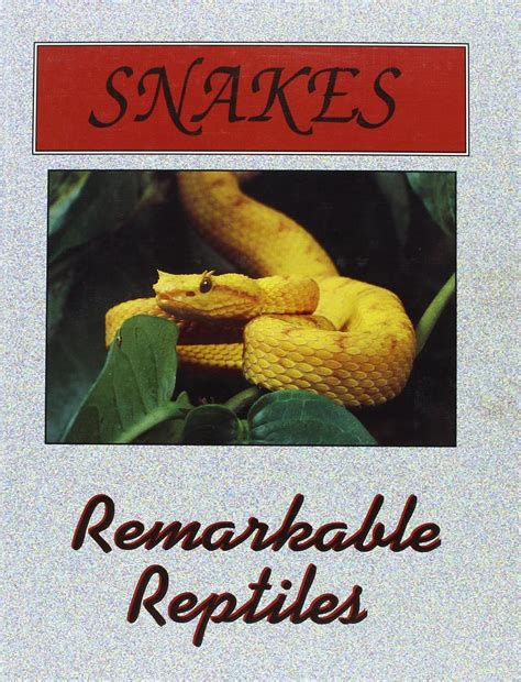 Buy Snakes (Remarkable Reptiles & Amazing Amphibians) Book Online at ...