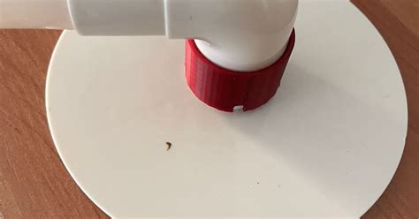 How to Vacuum Pool Using Skimmer 的图像结果