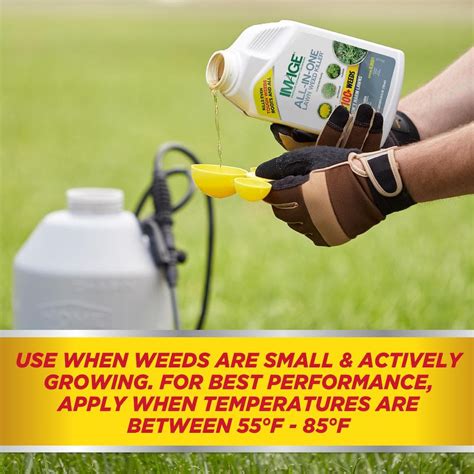 Herbicides All-In-One Lawn Weed Killer Concentrate India | Ubuy