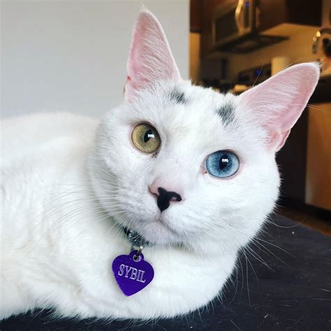 Image result for R HelloWorld