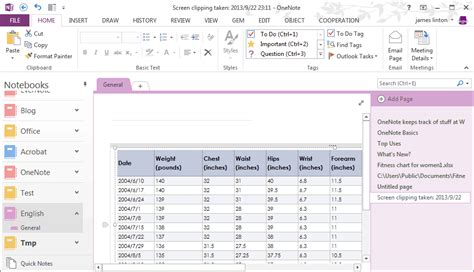 Image result for OneNote Excel File Display Preview