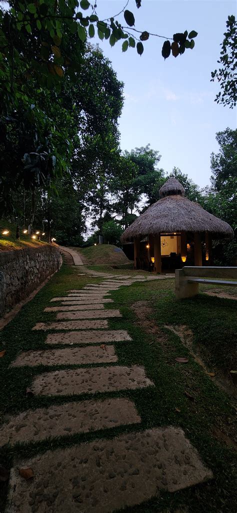 CHEMBARATHI WAYANAD (Vaduvanchal) - B&B Reviews, Photos, Rate ...