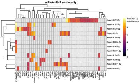 Identifying Key Regulators of Keratinization in Lung Squamous Cell ...