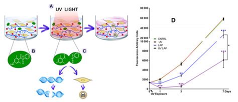 Photo-Crosslinkable Hydrogels for 3D Bioprinting in the Repair of ...