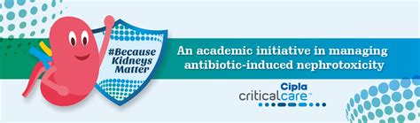 Dosing guidance for IV colistin in critically ill patients