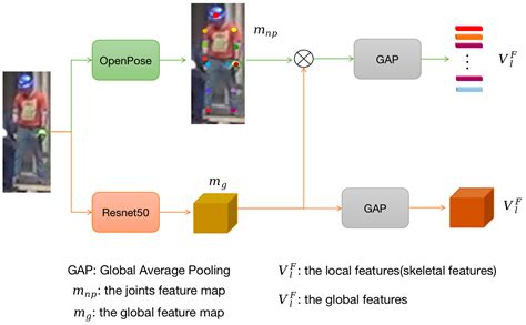 EcReID: Enhancing Correlations from Skeleton for Occluded Person Re ...