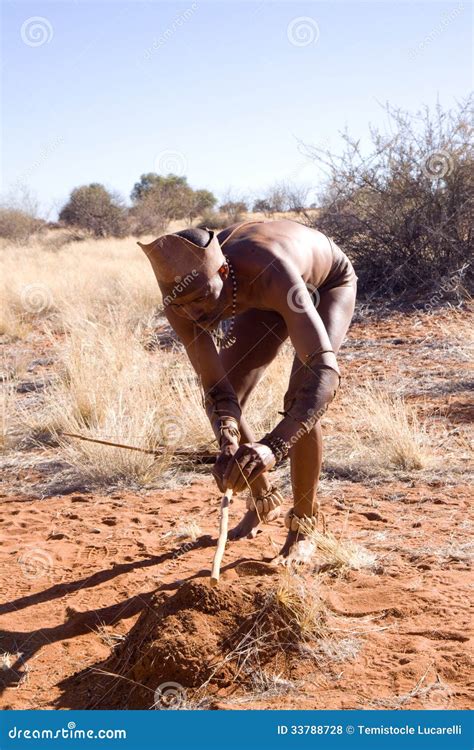 Bushmen sun editorial stock photo. Image of namibia, authentic - 33788728