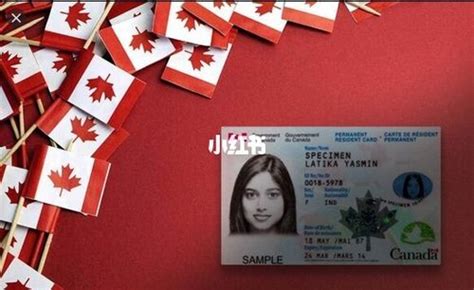 加拿大留学生怎样才能拿到枫叶卡？(留学生如何申请枫叶卡流程) - 移民办理 - 合肥观者移民 - 移民条件_移民国籍