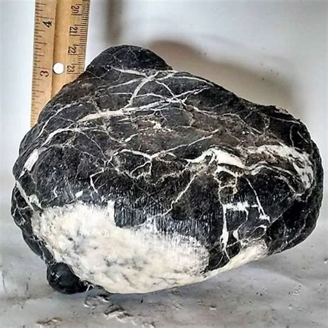 Aquarium Rock Black/White River Boulder Father Stone If you're looking ...