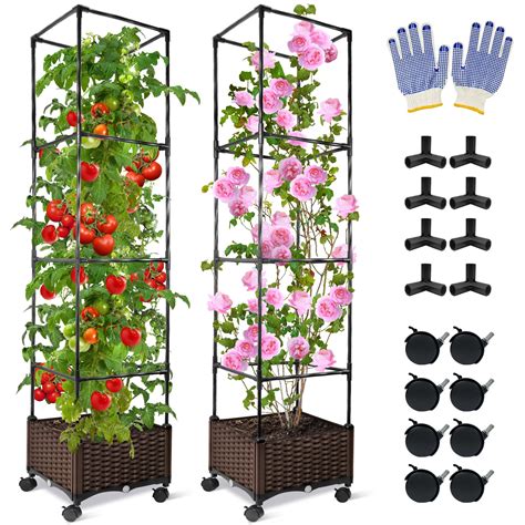 2 Pack Raised Garden Bed Planter Box With Trellis 72 | Desertcart INDIA