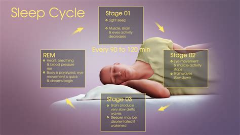 Rem Cycle When To Sleep at Arlene Lopez blog