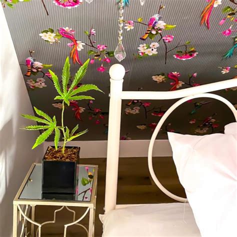 15" Fake Weed Plant Decor - Lifelike Cannabis Leaf in Black Pot - 420 ...