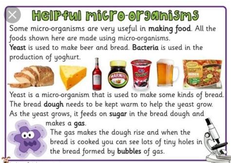 make a poster highlighting of the usefulness microorganisms class 8th ...