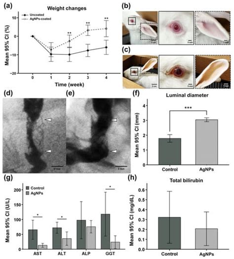 Silver Nanofunctionalized Stent after Radiofrequency Ablation ...