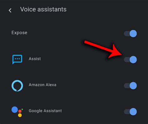 Image result for Voice Assistant Setting