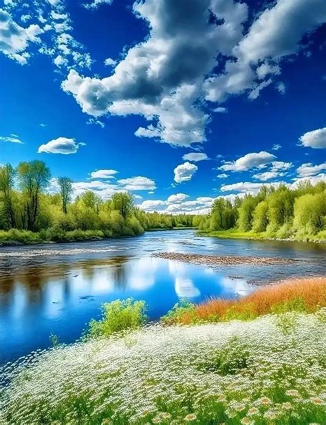 Belle Nature 的图像结果