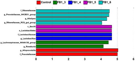 Response of Fecal Bacterial Flora to the Exposure of Fumonisin B1 in ...